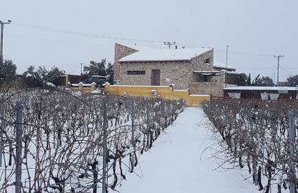 Villa Evinoi - Foto 33