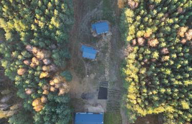 Domek dla Ptaków - Foto 8