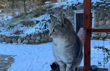 Drewniany Domek w Zakątku Andrzeje Śniczany 18 - Photo 75