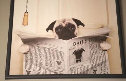 Woof & Sun - Foto 26