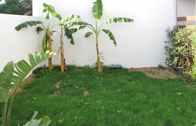 Les Pins Parasols - Foto 17