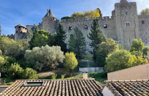 Entrez en lice, Face à la Cité vue sublime - Photo 2