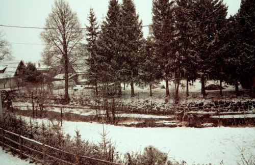 Chatka Czarny Bocian w Podgórzynie - Foto 42