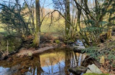 GITE DES 3 JONQUILLES - Foto 32