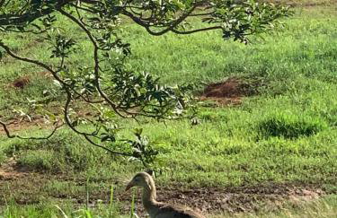 Village kaaiuru - Serra da Canastra - São João Batista do Glória - Foto 23