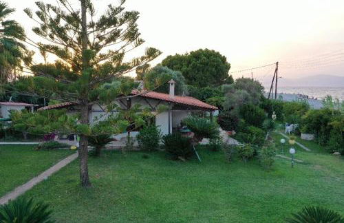 Villa Akrata - Photo 25