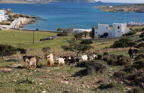 Alkionides Studios - Foto 10