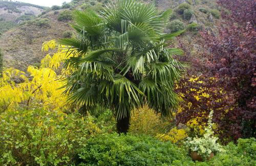 La Casita con piscina privada de tres dormitorios - Photo 80