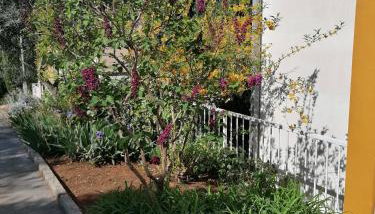 4 Roses Apartment - Foto 5, Garden