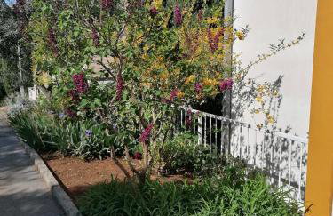 4 Roses Apartment - Photo 5