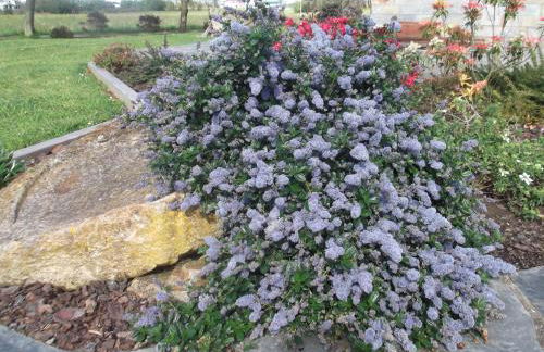 Apartamentos La Cruz de Paderne - Foto 79