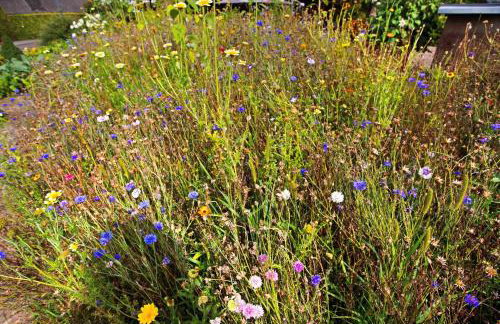 Ruhrtalblick - Photo 19