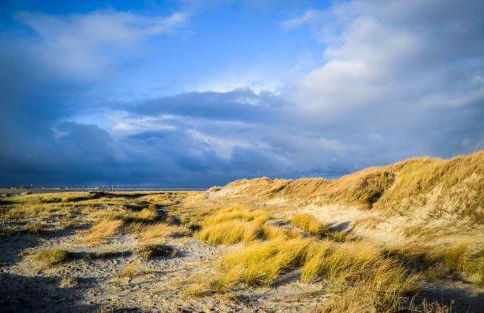 Strandmatte - Foto 7