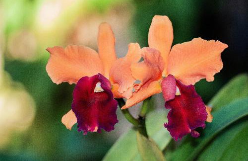 Retiro da Irá - Photo 58