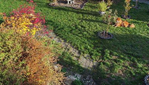 Ländliche Idylle in Hochfranken - Foto 4, Garden, Garden view