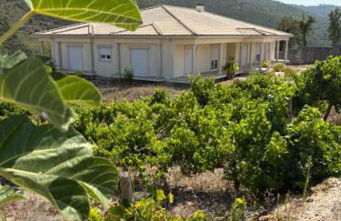 Villa Quinta Dom Reis - Photo 9