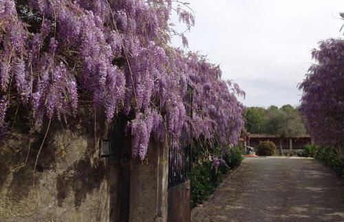 Casa de Romao - Foto 51