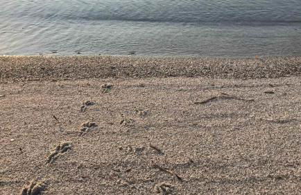 Villetta sul mare - Foto 49