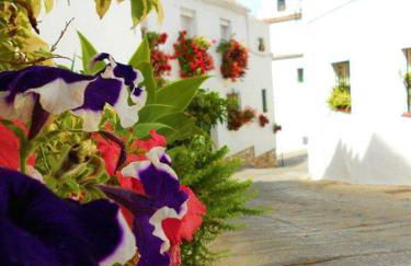 Valleverde Apartment - Photo 10