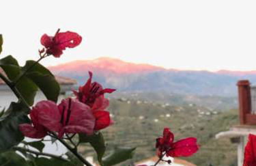 Casa de Luz - Foto 43