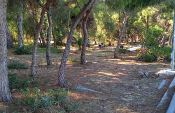 Elizas house - Foto 24