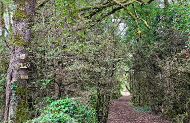 Grand gite & petit gite - Photo 11