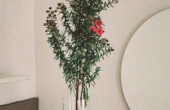 Verwalterinnenhaus - Foto 17