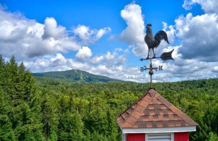 Stratton and Bromley 9 BRs Estate with a Swimming Pool - Foto 35