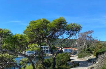 Gajeta Residence Božava - Foto 73