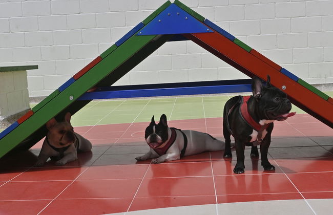 Apartamentos Club Residencial Ibague - Foto 68