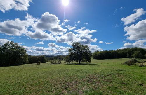 Domaine du Raysse - Photo 45