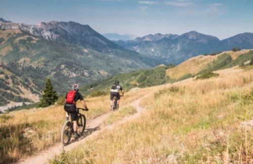 Beehive Escape -Salt Lake City - Foto 30