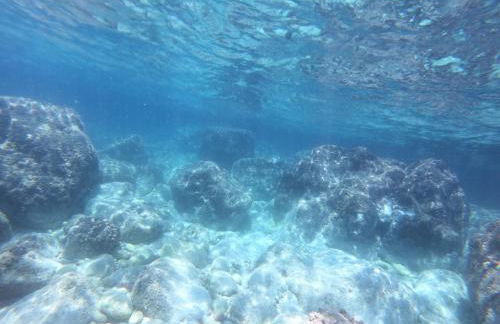 Azienda Agrituristica B&B La Torre - Photo 20