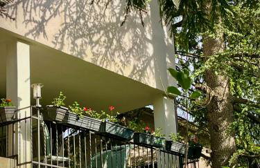 Apartman Bela - Photo 8