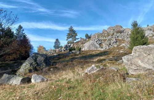 Apartment in Tannesberg Near Goldsteig Trail - Foto 64