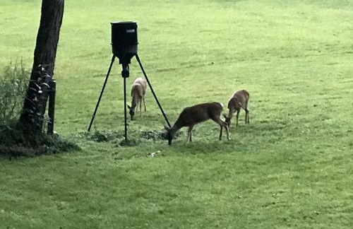 Cozy Cabin in the Blue Ridge Mountains, Perfect for a Weekend Escape from Atlanta - Foto 16