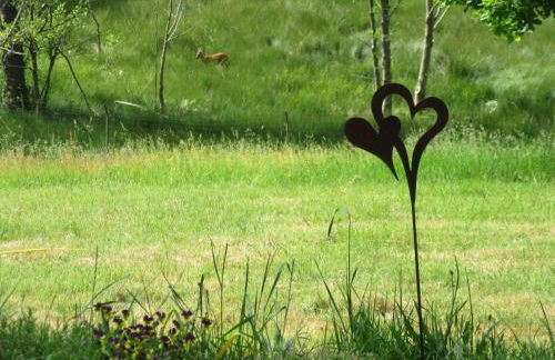 Ferienwohnungen Nibelungenwald - Foto 29