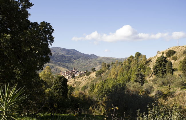 Le due querce - Photo 45