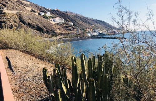 La Casa Verde - Foto 50