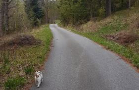 Domek pod Kłódką - Foto 28