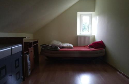 Agroturystyka Pod Dębem - Foto 24