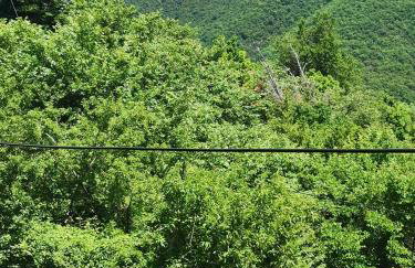 Ορεινή φιλόξενη κατοικια - Foto 17