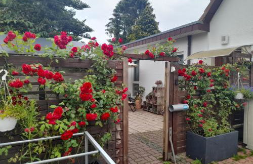 Pension Entenhausen - Foto 34