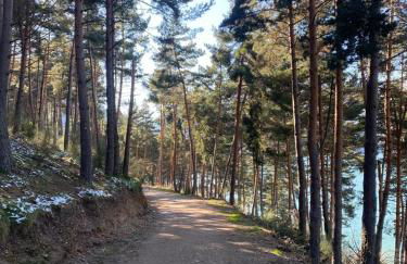 Casa La Puerta - Photo 27