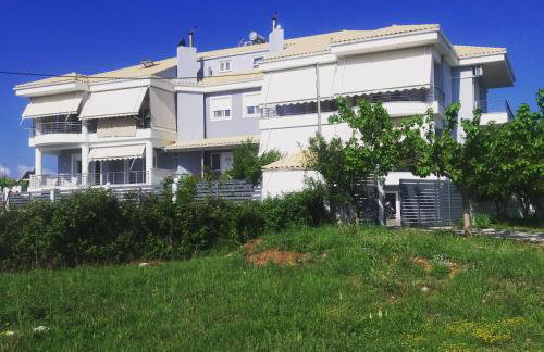 Dream House - Foto 18