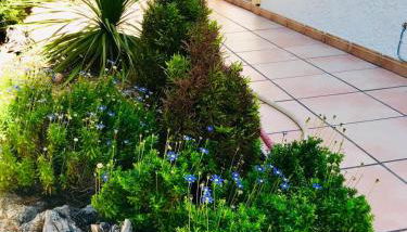 Casa de familia - Foto 4