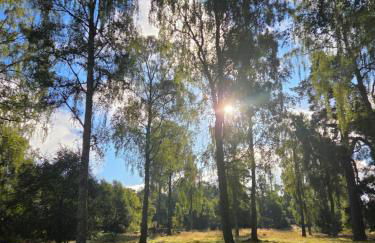 The Cairn at North Lodge, Rural Guest Suite - Foto 44