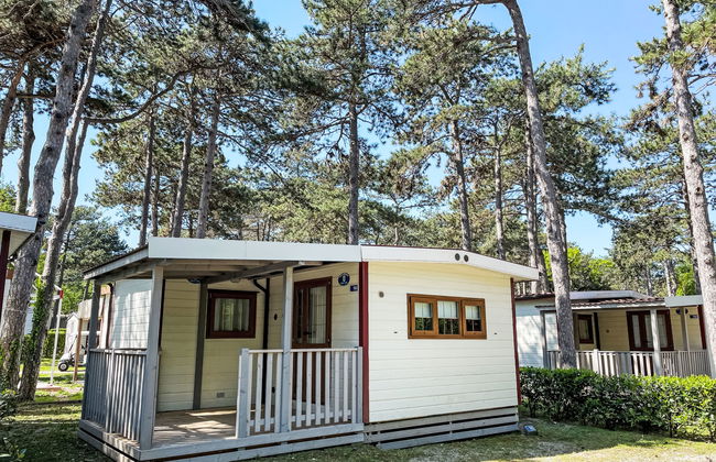 Camping Village Mare Pineta - Foto 14