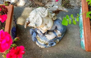 Il Limoneto degli Angeli - Foto 23