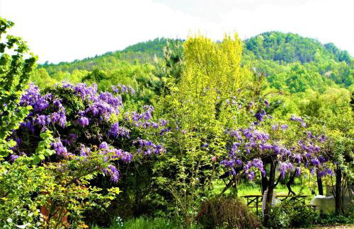 Agriturismo Malvista - Foto 34